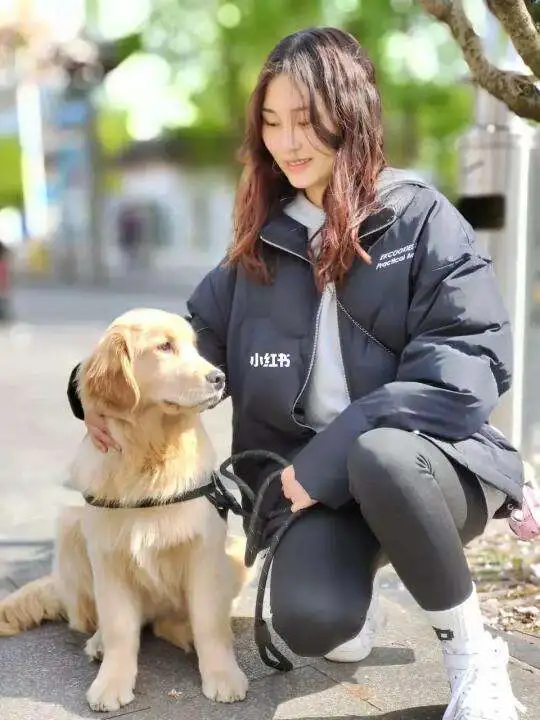 巨星犬舍(巨星犬舍和海润犬舍)