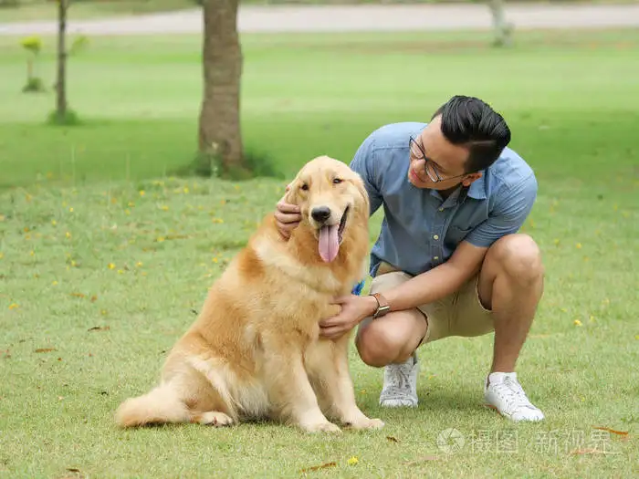 人与狗的互动(人与狗的互动,槐花窝头怎么蒸)