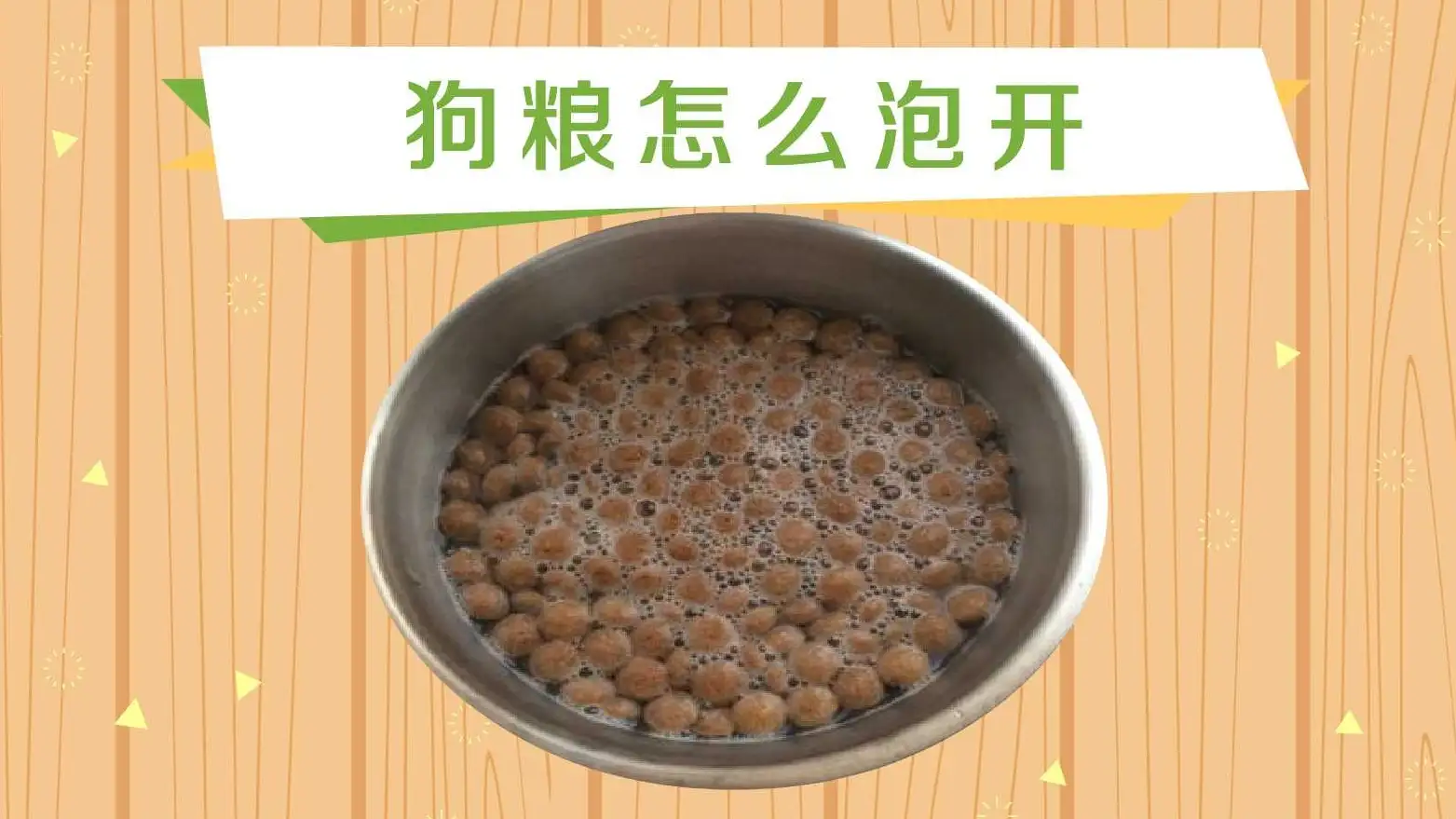 狗粮怎么泡(十大狗粮品牌排名前十)