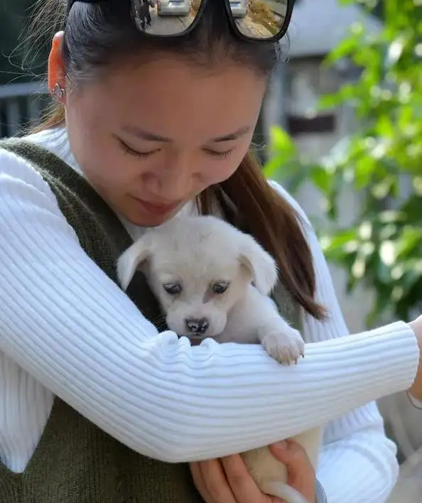 包含婆婆和狗玩声音很大的词条