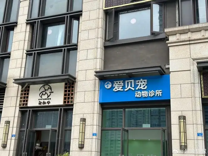 开宠物店(开宠物店赚钱吗)