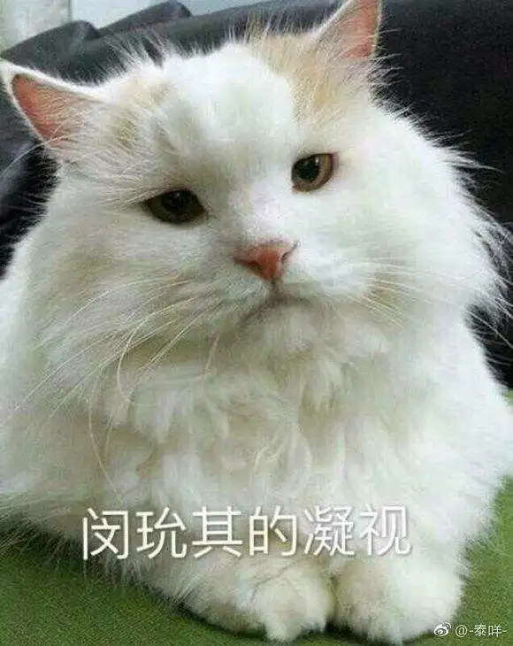 猫甜还是桃甜什么意思(猫甜还是桃甜是什么意思网络梗)