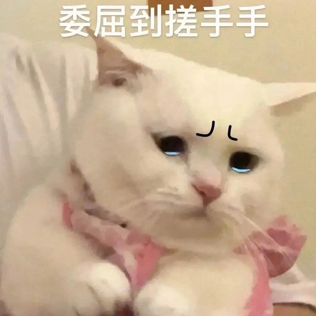 搓手猫(搓手猫gif表情包)