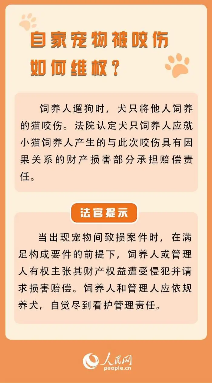 宠物饲养许可证(宠物饲养许可证在哪里办手续)