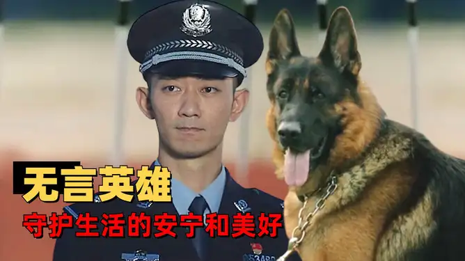 警犬电影(警犬电影儿兰博儿历险记)