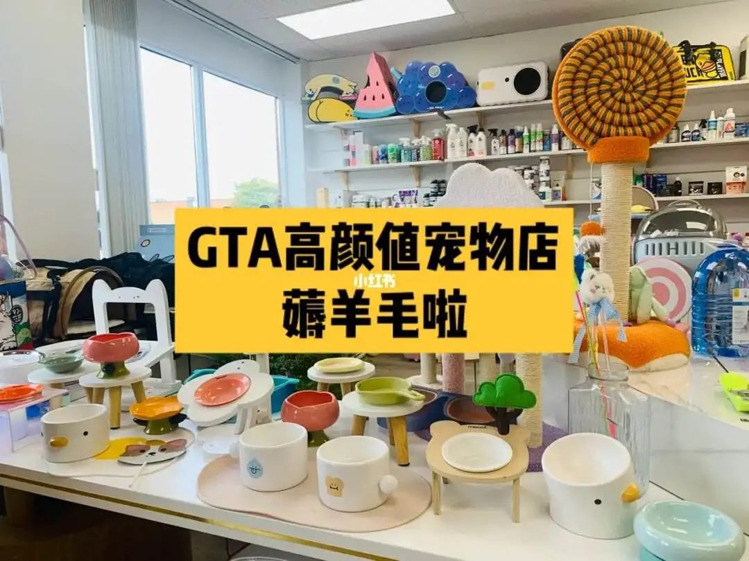 宠物用品店赚钱吗(宠物用品店赚钱吗现在)