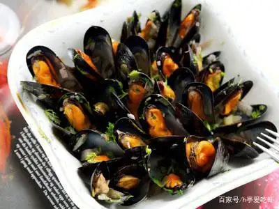 斑马贝(斑马贝鱼)