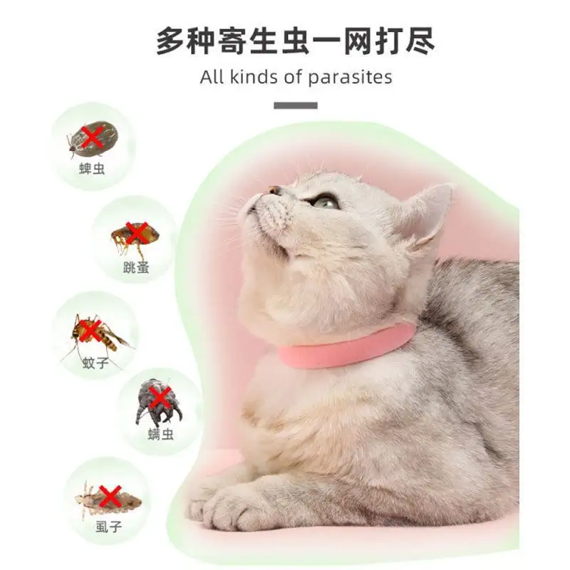 宠物猫驱虫多少钱(给猫驱虫多少钱一次)