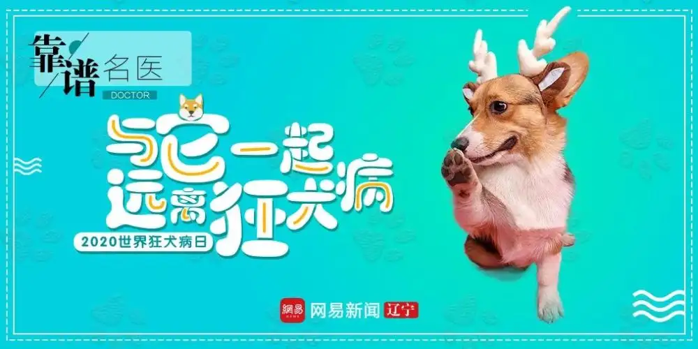 远离病犬(远离病犬补车)