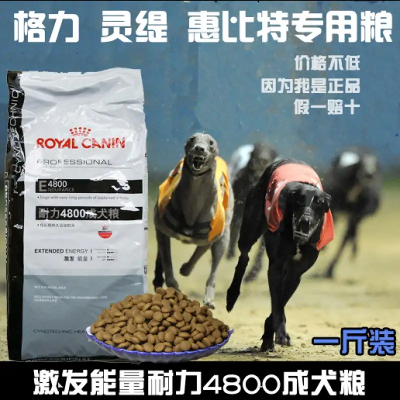 格力犬价格(格力犬价格一览表)