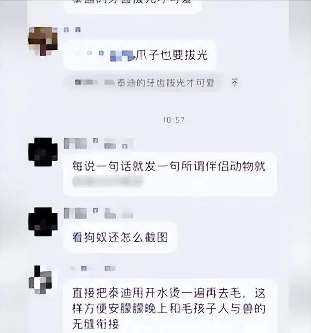 包含网曝成都多地出现“毒狗”事件的词条