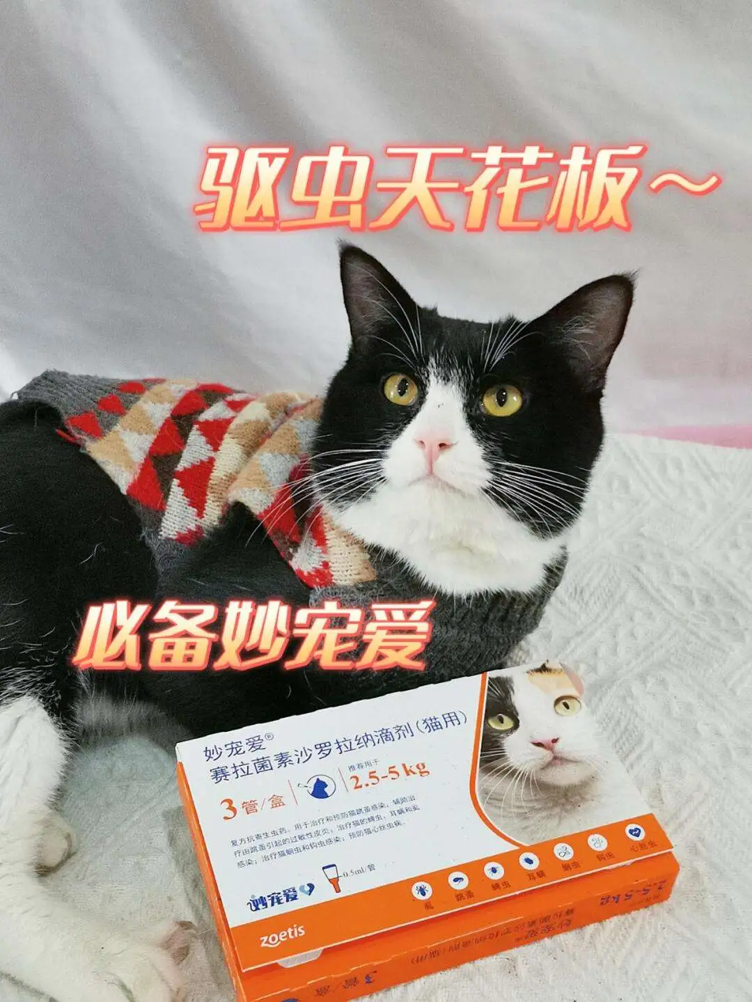 妙宠爱(妙宠爱猫舔到了会怎么样)