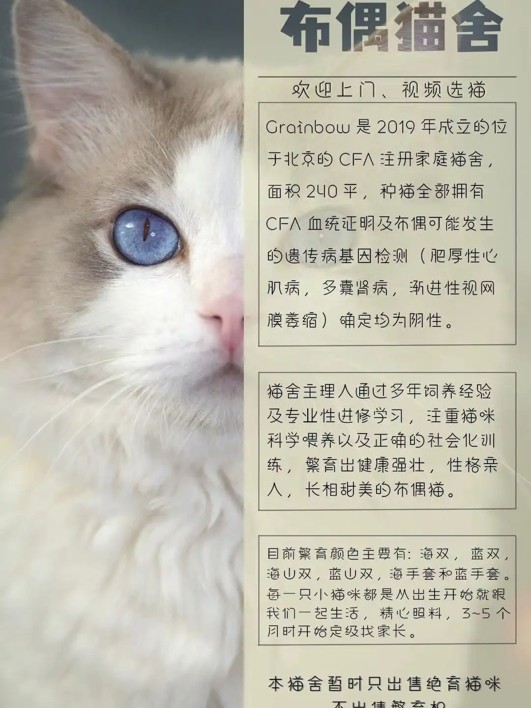 关于猫的资料(关于猫的资料介绍说明文)