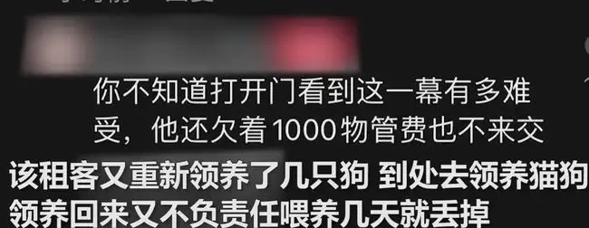 租客退房留下2猫1狗1鸡(租客退租留下一整屋垃圾,你怎么看?)