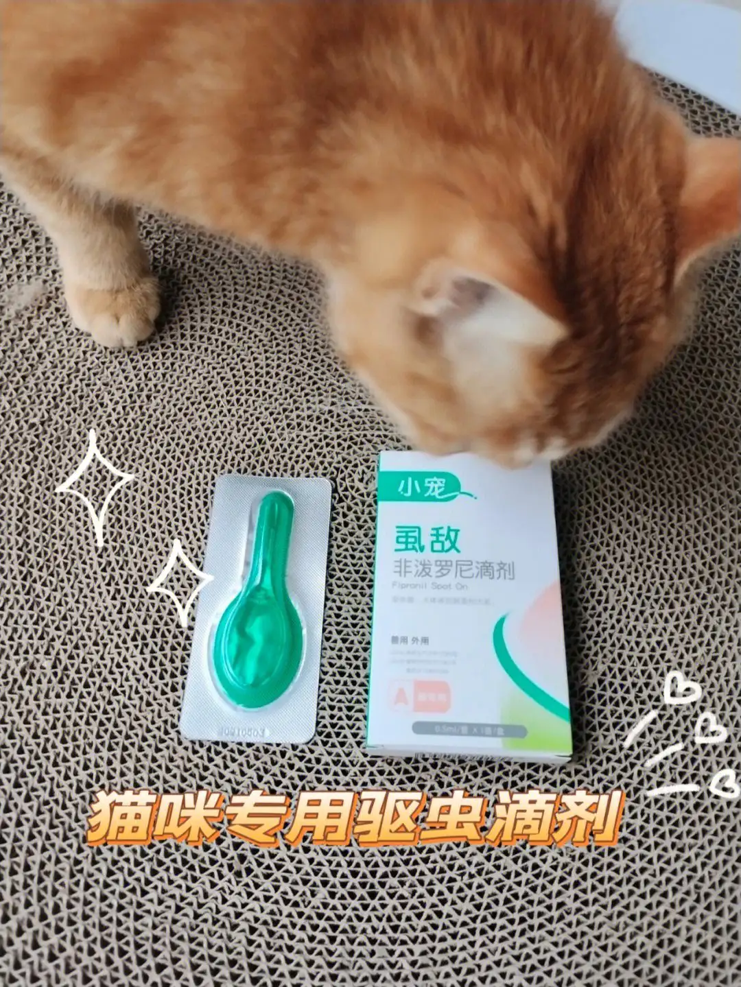 猫驱虫(猫驱虫多久起效)