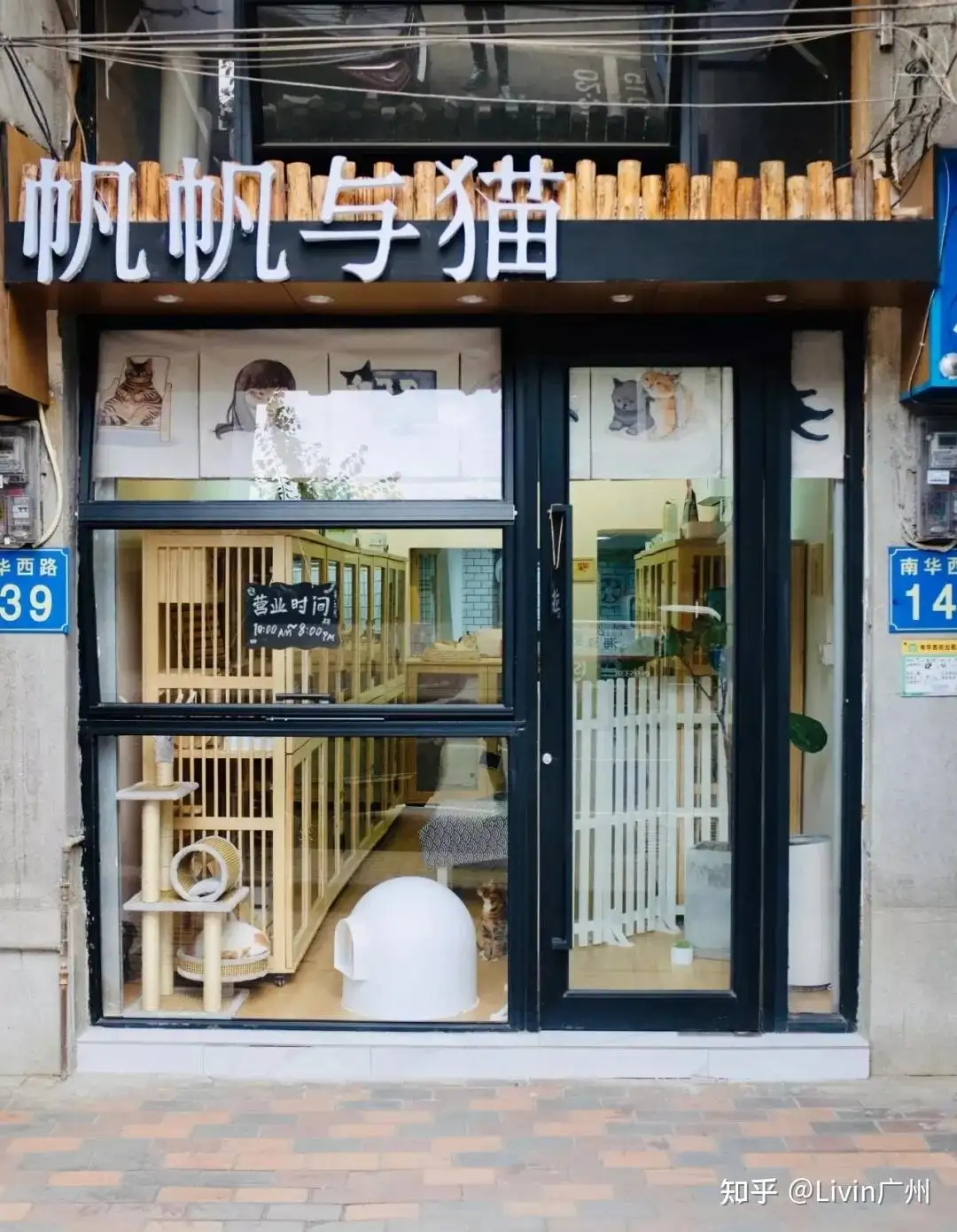 如何开一家宠物店(怎么开好一个宠物店)