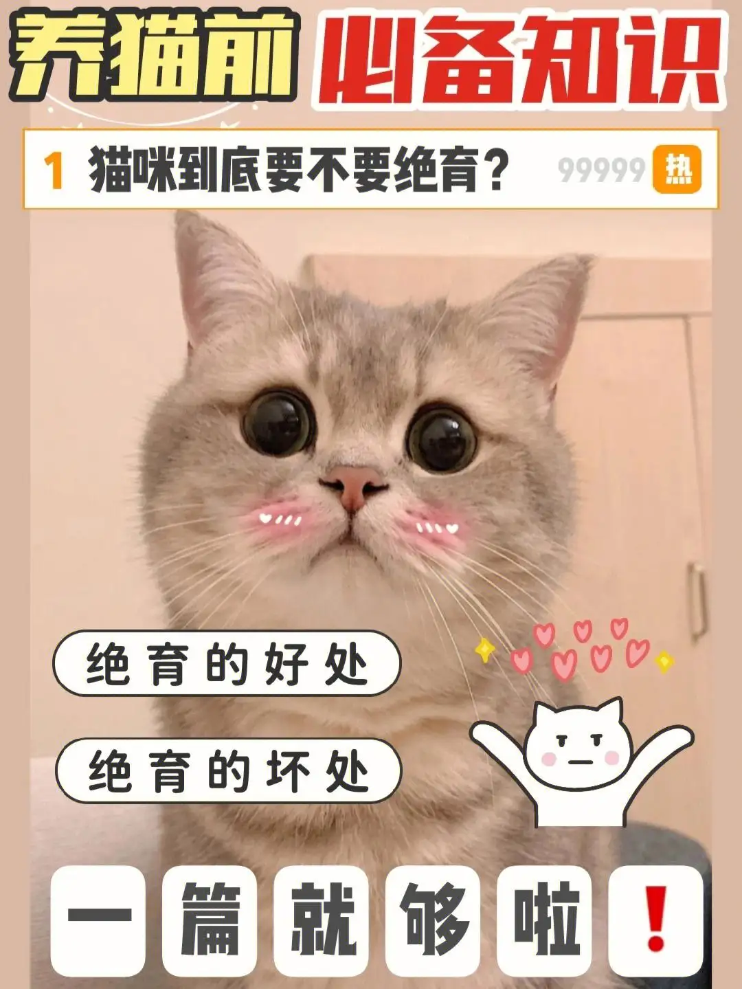 猫尿失禁(猫尿失禁一直流尿)