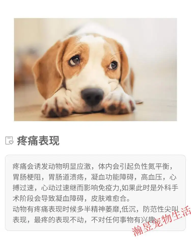 狗狗卡得好疼(狗子卡了怎么办)