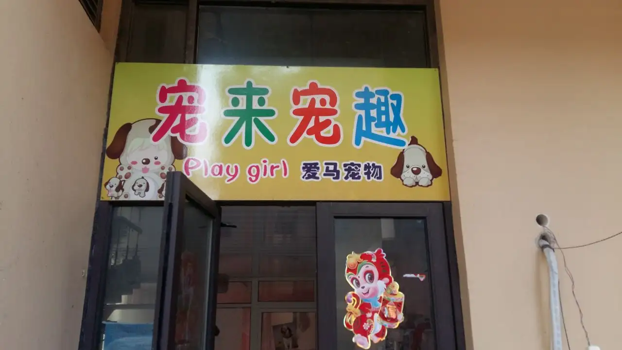 宠物用品店名字(宠物用品店名字二个字)