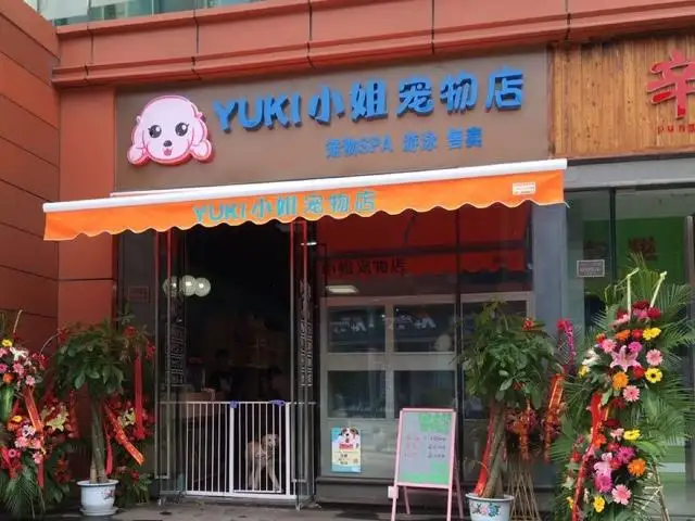 宠物用品店名字(宠物用品店名字二个字)