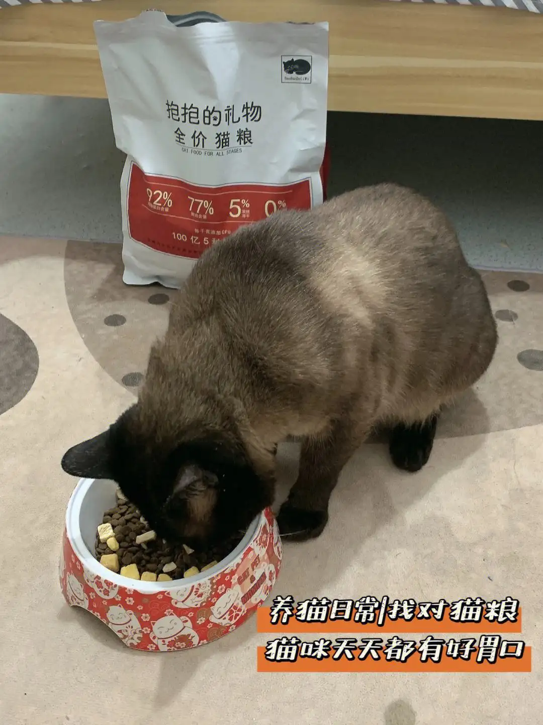 近百只猫疑因食用同一款猫粮后死亡的简单介绍