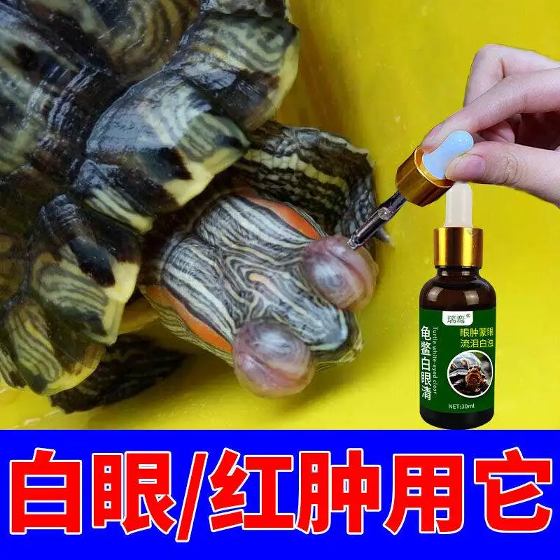 乌龟白眼病怎么治疗(龟白眼病最简单治疗方法)