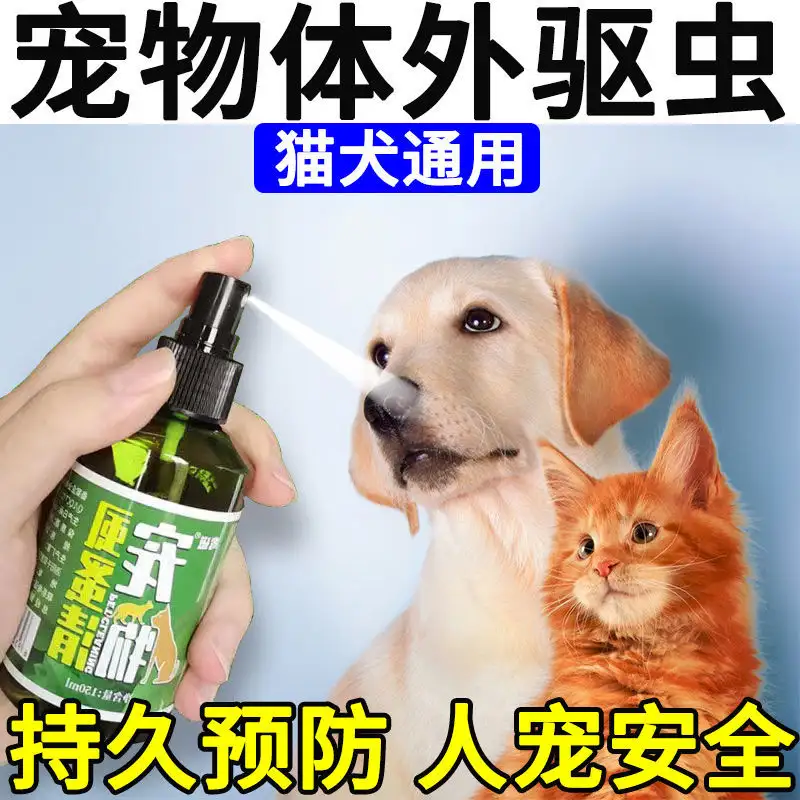 小猫怎么驱虫什么时候驱虫(小猫怎么驱虫什么时候驱虫呢)