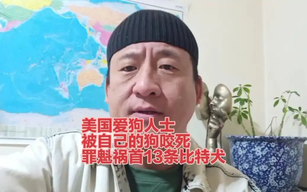 爱狗人士(爱狗人士是不是脑子不太正常)