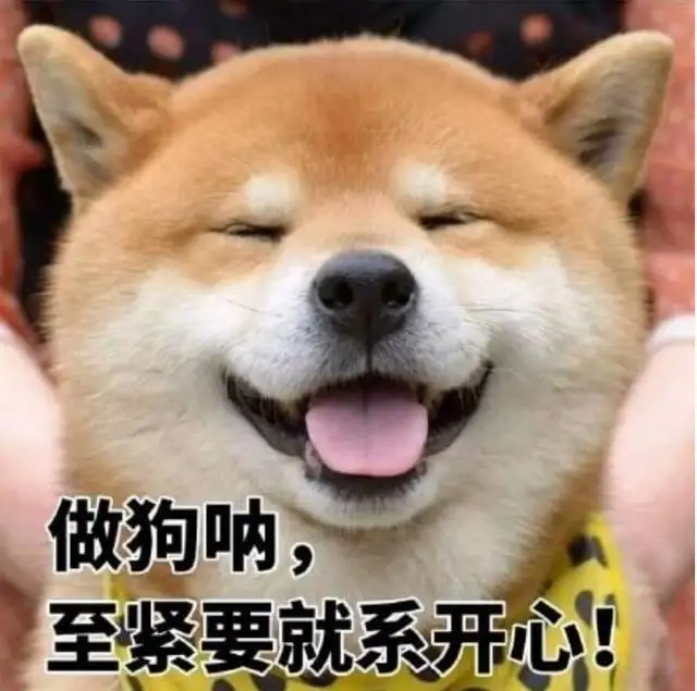 柴犬价格多少钱一只(小体柴犬价格多少钱一只)