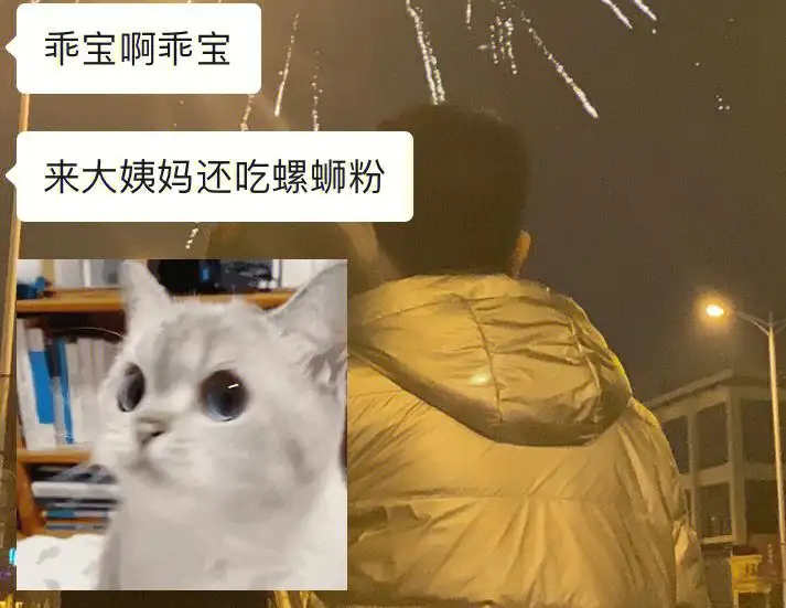 猫咪会来大姨妈吗(母猫下面少量出血是什么原因)