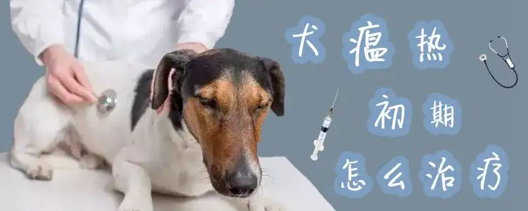 犬瘟热潜伏期(犬瘟热潜伏期一般是)