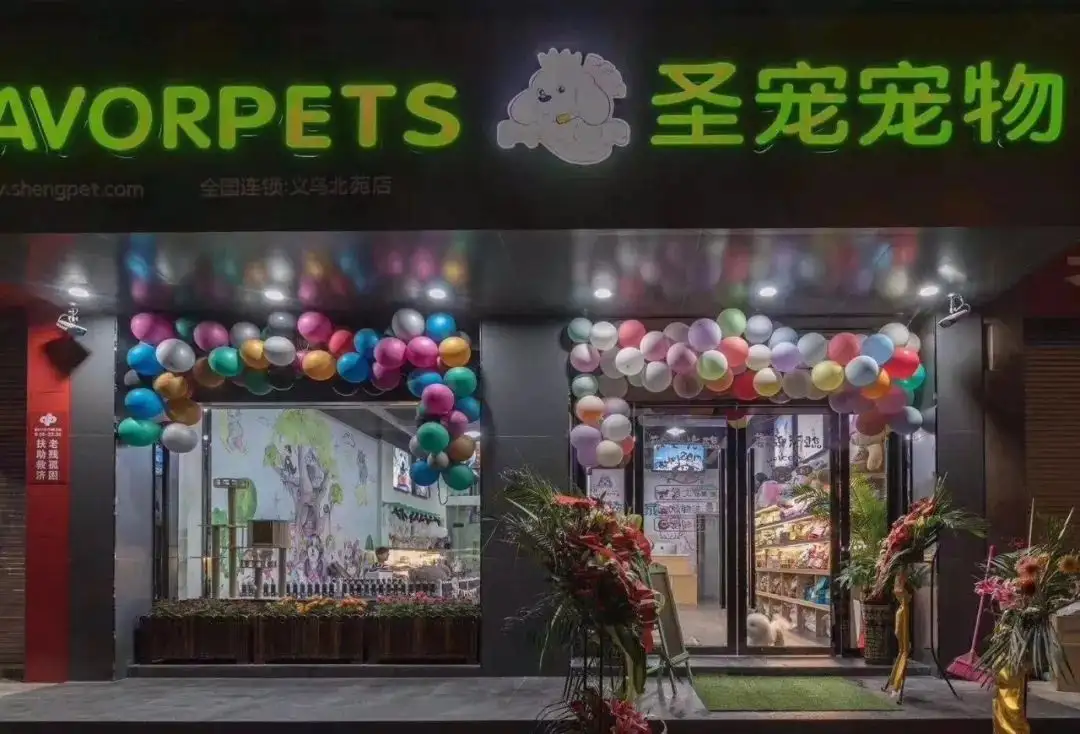 怎么开宠物店(怎么开宠物店需要什么条件)