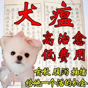 犬瘟热吃什么药(犬瘟热吃什么药好得快)