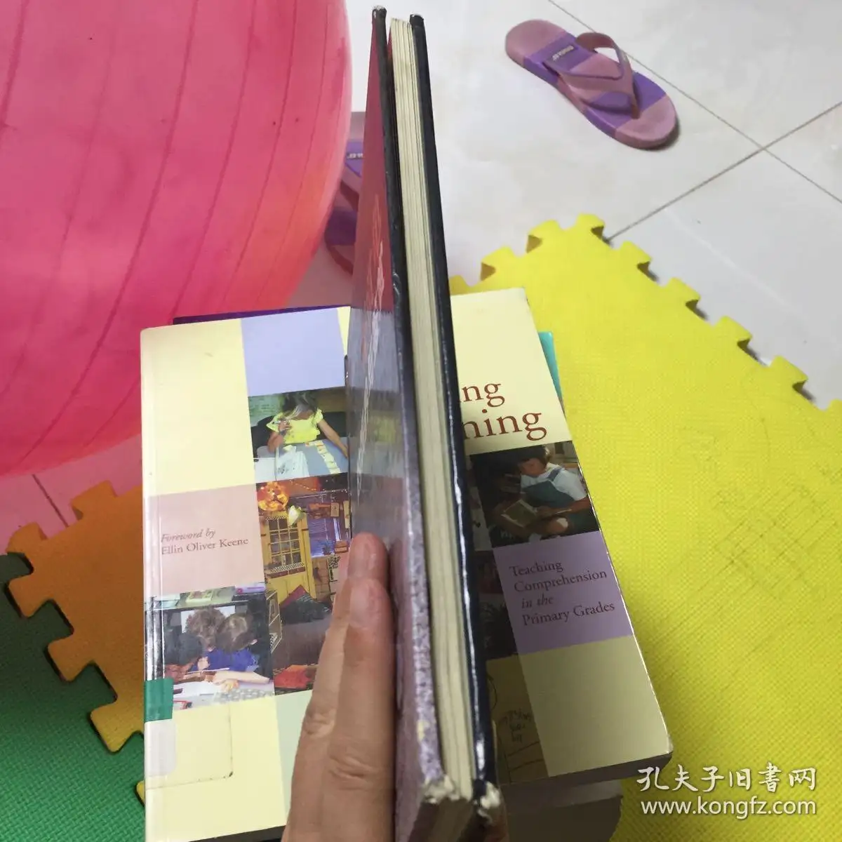 观赏龟的饲养与鉴赏(观赏小乌龟的饲养方法)