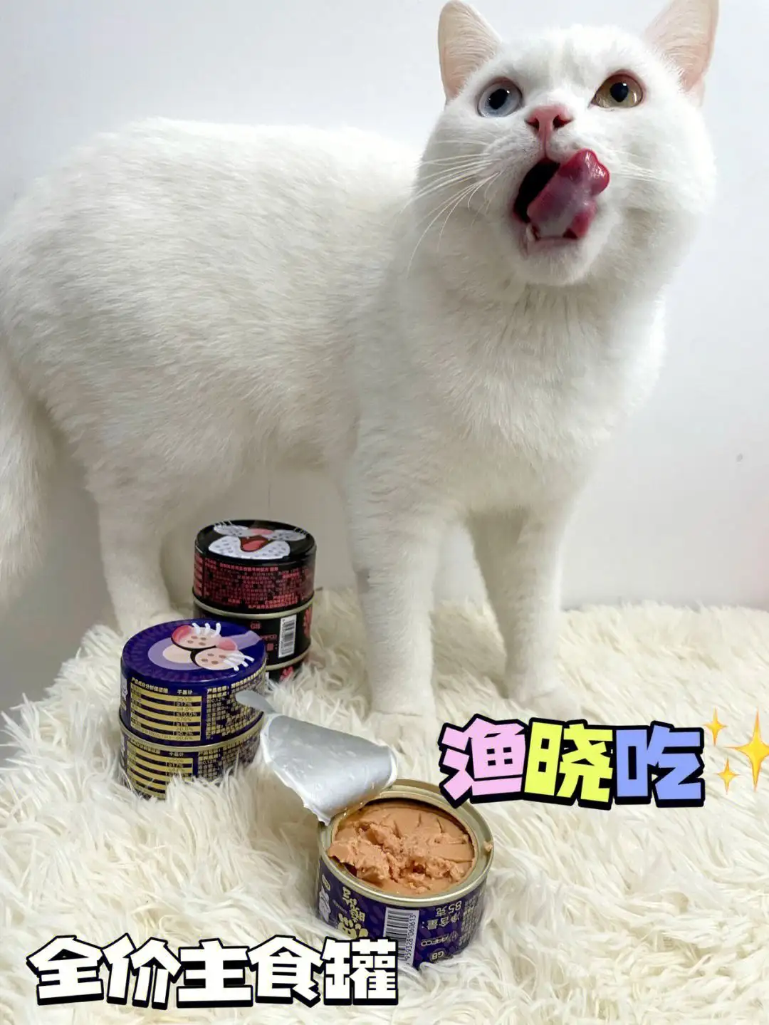 猫主食(猫主食罐头)