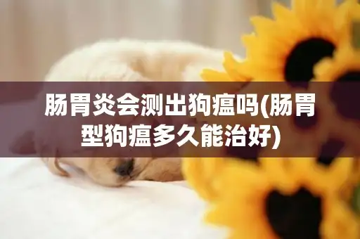 狗瘟(狗瘟还有救吗)