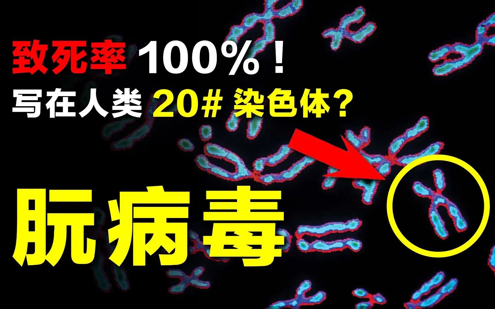 地狱犬病毒致死率(地狱犬现实中是哪个狗)