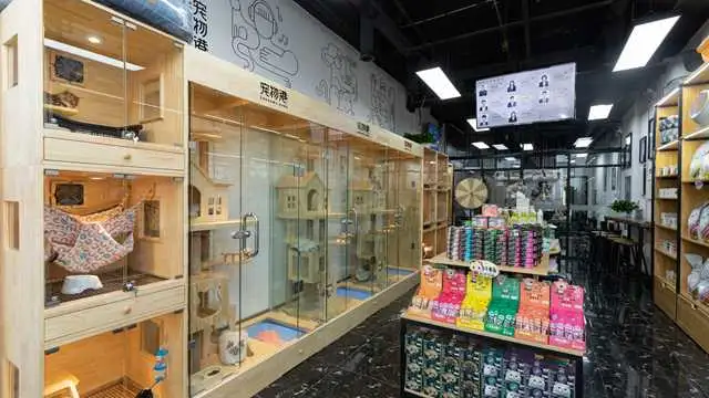 开宠物店都需要什么(开宠物店都需要什么手续)