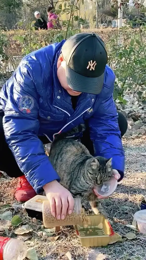 高校大爷训话猫咪(大爷训猫是哪个大学)