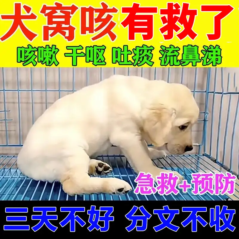 犬瘟病毒(犬瘟病毒在家里存活多久)