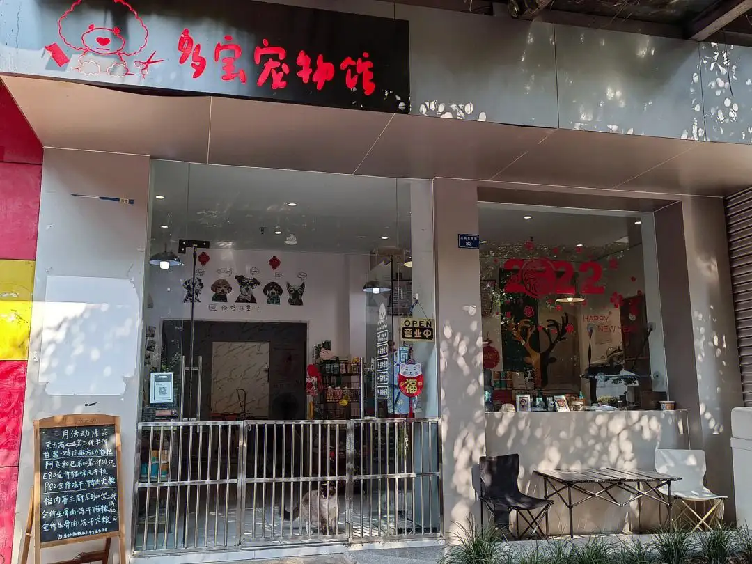 开宠物店需要多少钱(开一家宠物店大概需要投资多少钱)