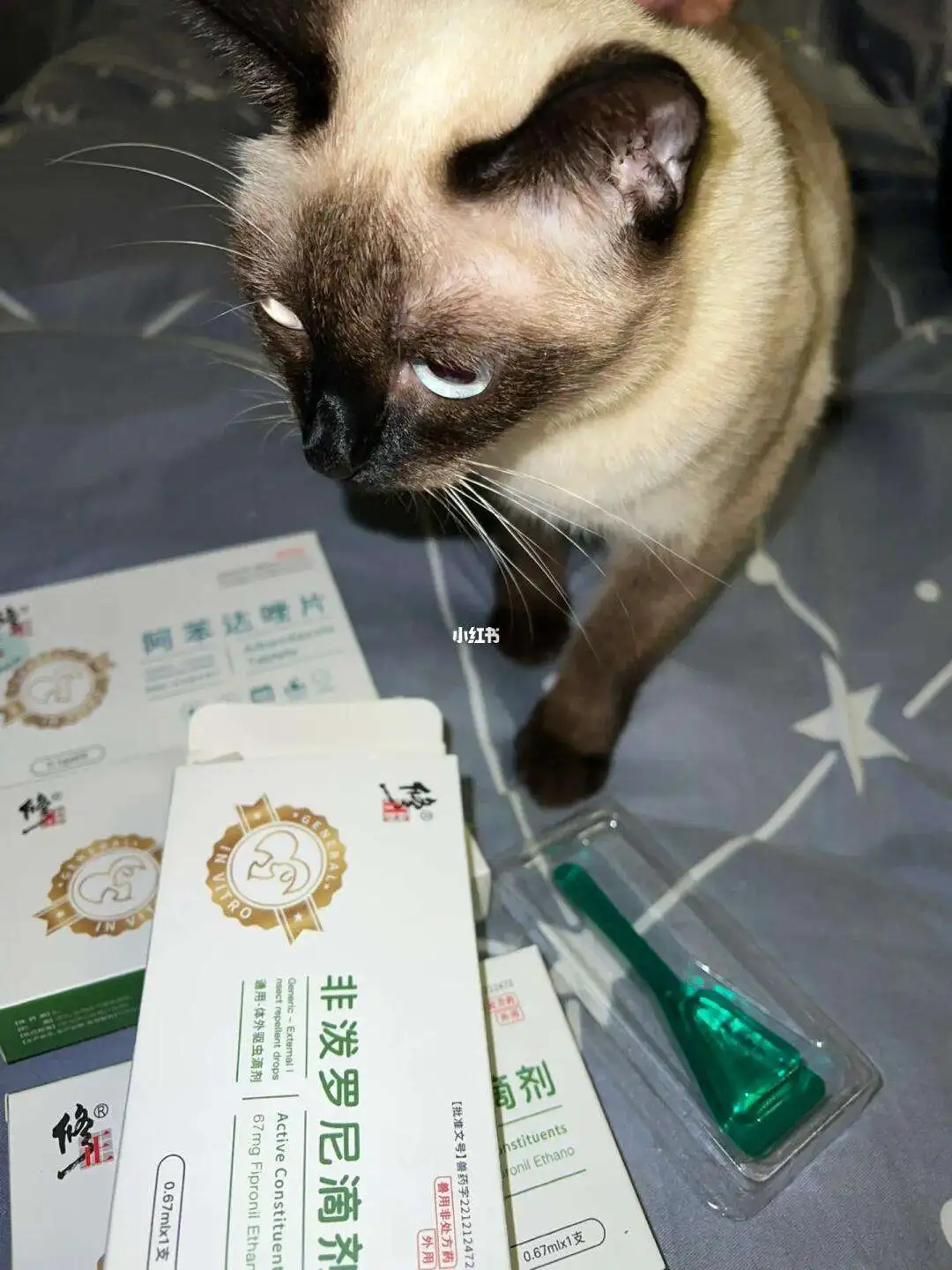 猫咪驱虫药多大可以用(猫咪驱虫药多大可以用了)