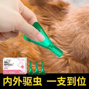 狗狗驱虫用什么(狗狗驱虫用什么药比较好)