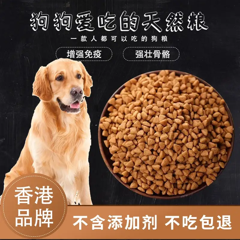 金毛犬除了狗粮吃什么(金毛犬不喂狗粮的话让它吃什么)