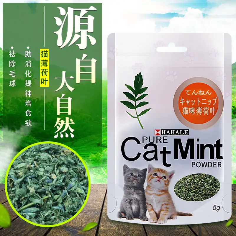 猫多大能吃猫薄荷(猫多大了可以吃猫薄荷)