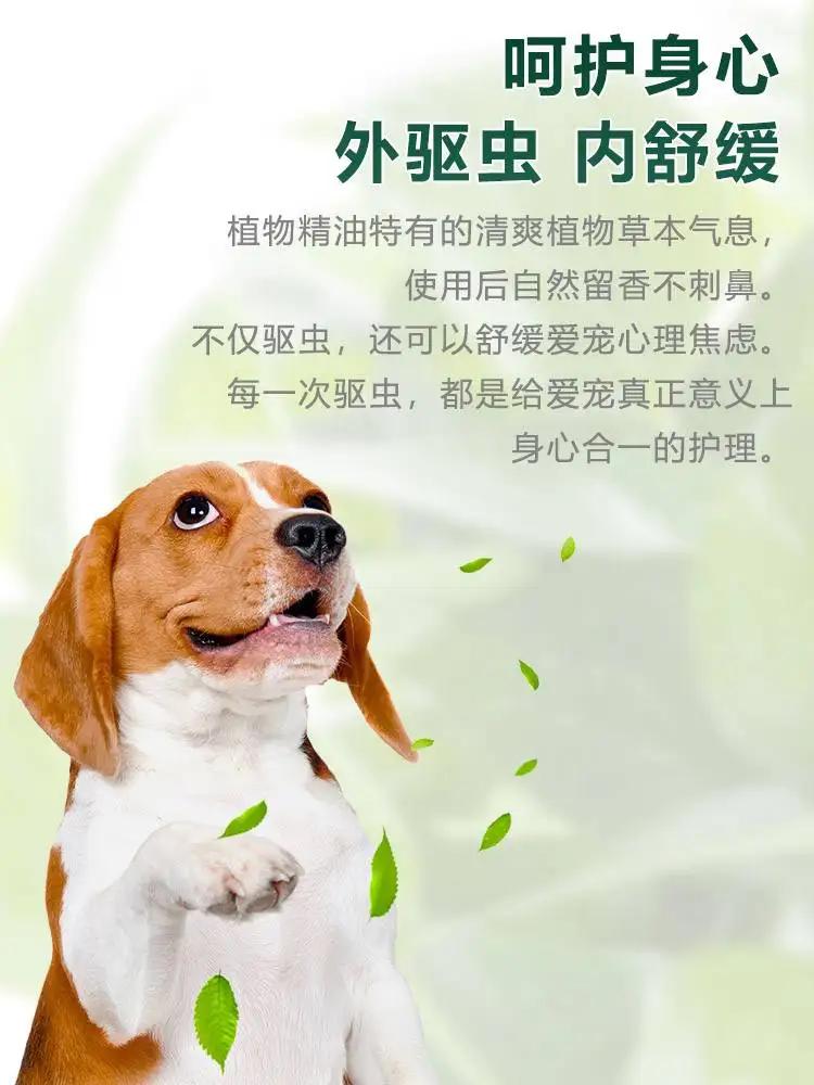 狗狗驱虫用什么(狗狗驱虫用什么药比较好)