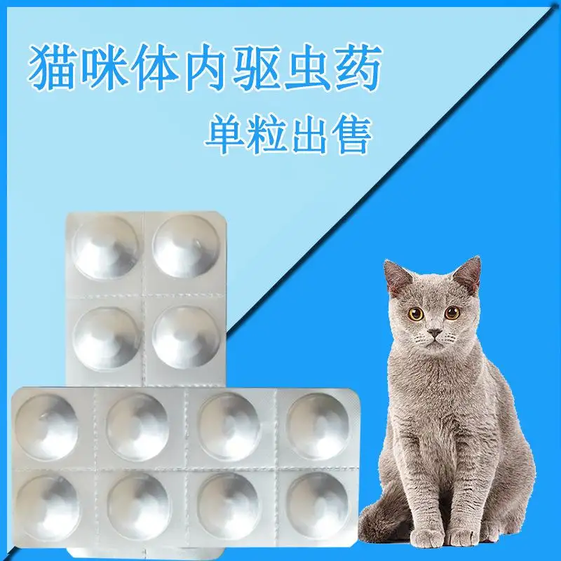 猫咪驱虫用什么药比较好(8斤猫吃1片阿苯达唑可以吗)