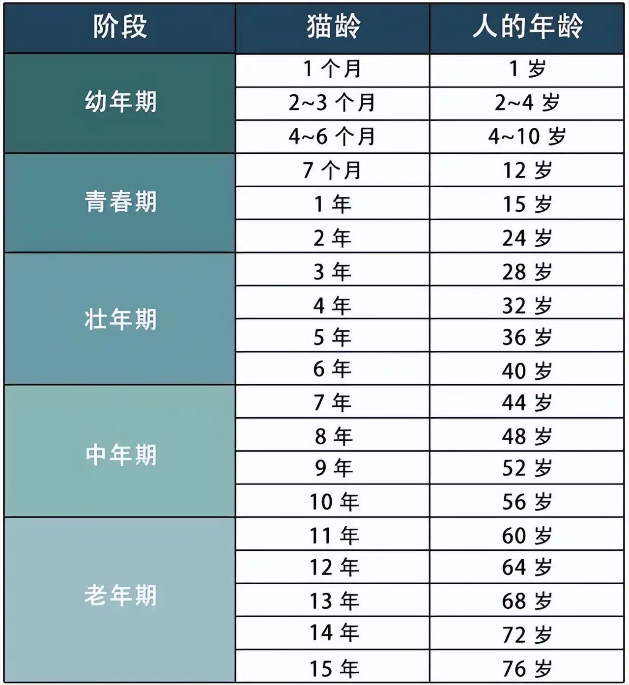 家养猫咪的寿命(家养猫咪一般寿命)