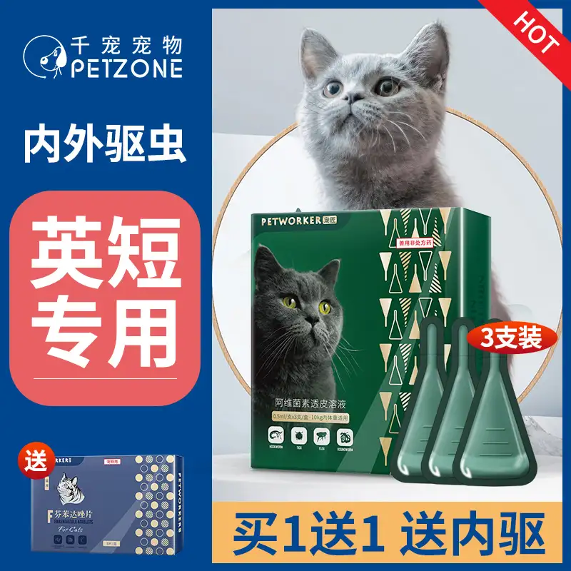 猫咪如何体内体外驱虫(猫咪体内体外驱虫有什么区别)