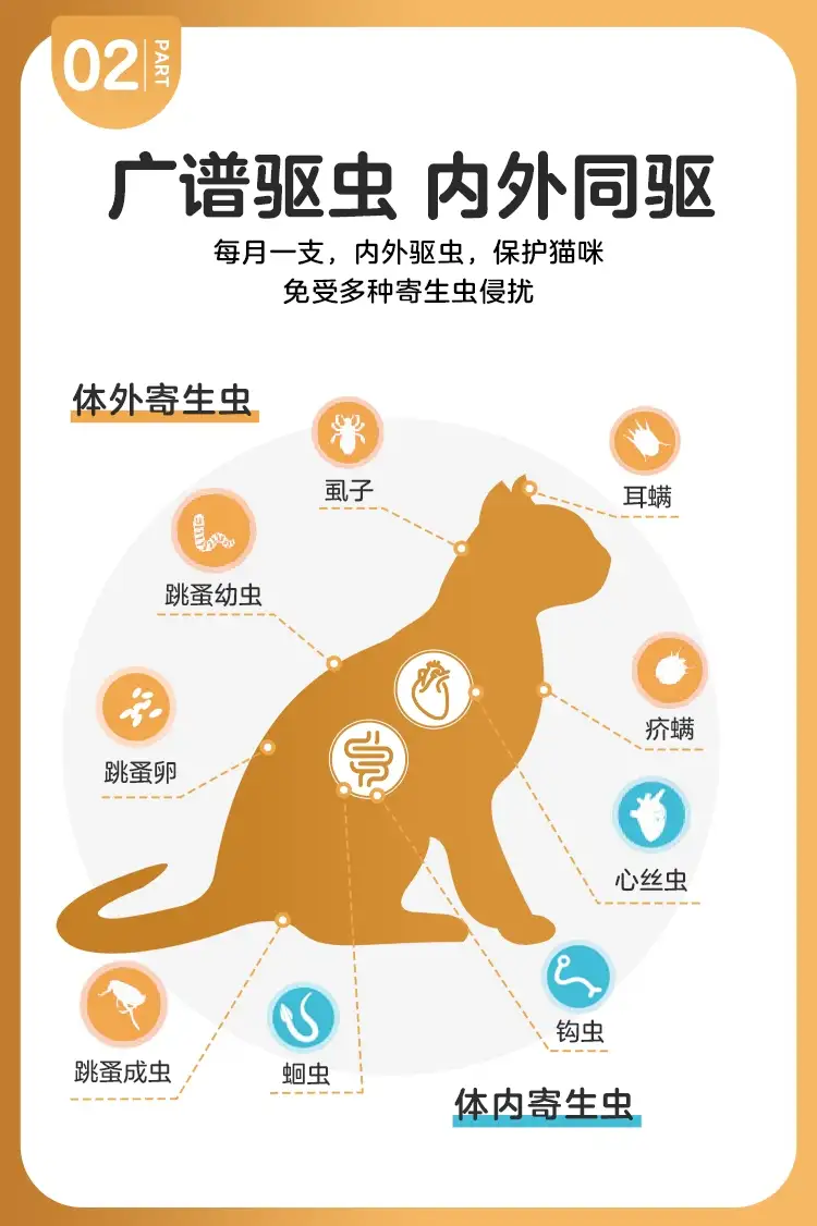 猫咪如何体内体外驱虫(猫咪体内体外驱虫有什么区别)